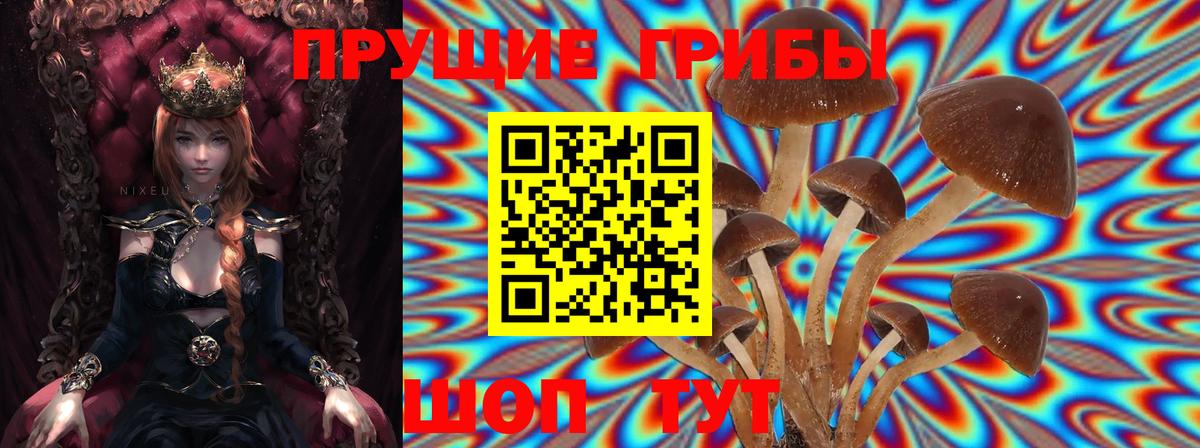Псилоцибиновые грибы Cubensis  Вход с VPN  где продают   Унеча 